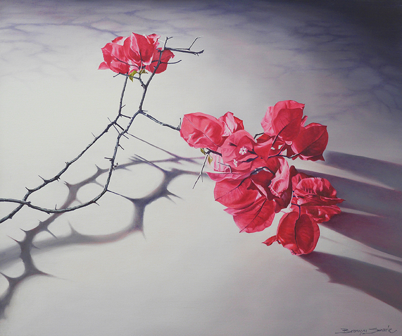 Sharing the Limelight by Bronwyn Searle | Lethbridge Gallery